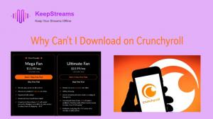 Why Can't I Download on Crunchyroll and Permanent Fix in 2026