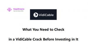 VidiCable Crack: Is It Safe? Risks and Better Alternatives